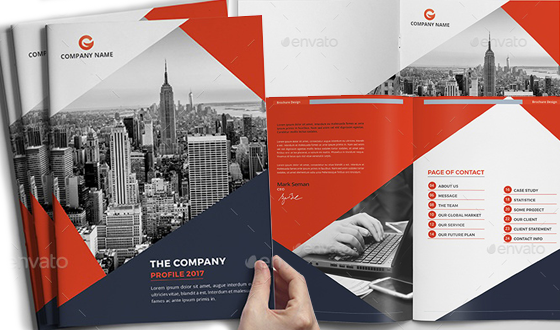 Company Profile PDF preview